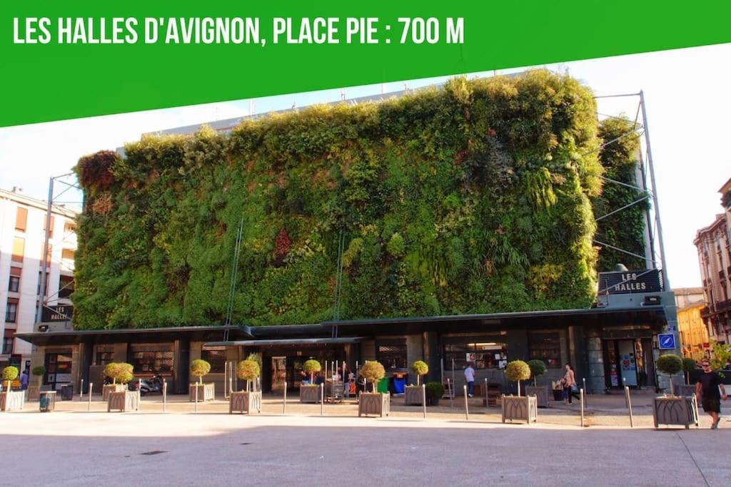 Aux Marches Du Palais - Ac Clim - Spacieux - Terrasse - Wifi Avignon Exterior photo